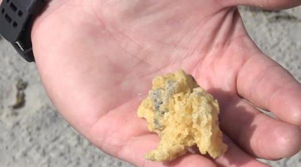 aparitie bizara pe plajele din nordul frantei autoritatile nu si explica despre ce este vorba