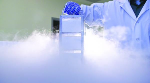 experimente inedite la gradina botanica iasi