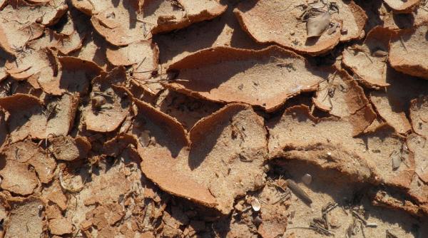 seceta pedologica valabila pentru perioada 22 28 iulie