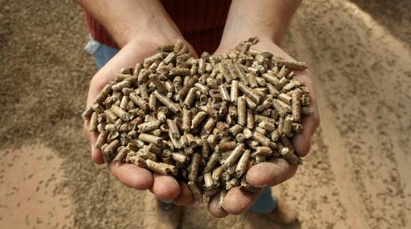 prima cooperativa agricola de productie post comunista infiintata pentru a produce energie neconventionala