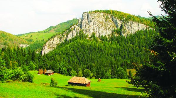 arii protejate ale romaniei cineritele de la nuteasca ruseni