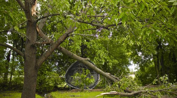ialomita bilantul furtunii remorca rasturnata copaci cazuti peste o linie electrica si peste autovehicule