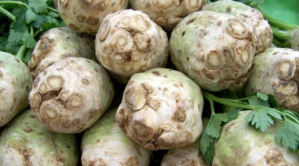 leacuri cu telina pentru a te bucura de vara