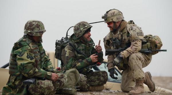 soc us army incurca desertul cu padurea