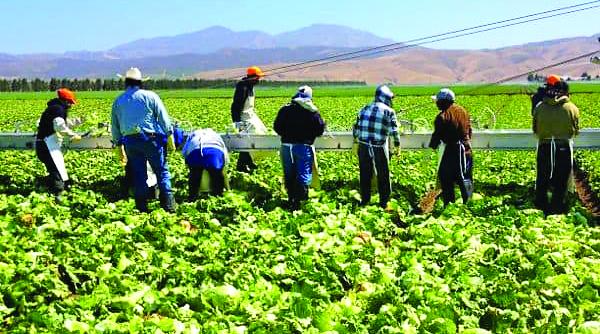 de ce ajung romanii sclavi la munca in strainatate