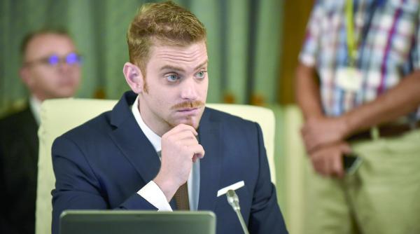 cum sa ti faci site si sigla cu bani de la stat