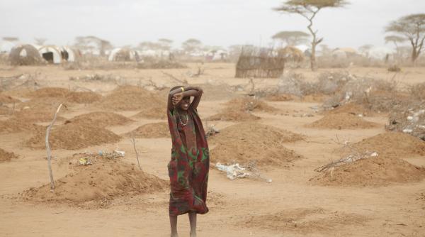 mai mult de 1 milion de copii sunt predispusi la holera