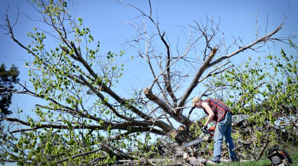 omenirea a consumat deja mai multe resurse naturale decat planeta poate asigura pentru intreg anul 2017