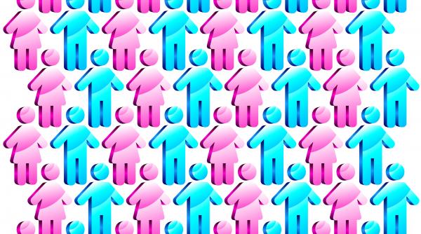 smecheri de lux ai tarii magistratii si aviatorii umfla 10 pensii medii luna