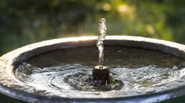 alerta la caracal apa contaminata cu e coli in ciuda avertismentelor oamenii continua sa ia apa de la cismele