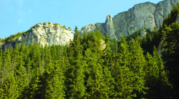 arii protejate ale romaniei rezervatia naturala comarnic