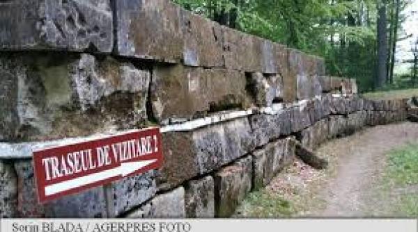 hunedoara un barbat a fost amendat dupa ce a intrat cu masina pe o zona pietonala a cetatii sarmizegetusa