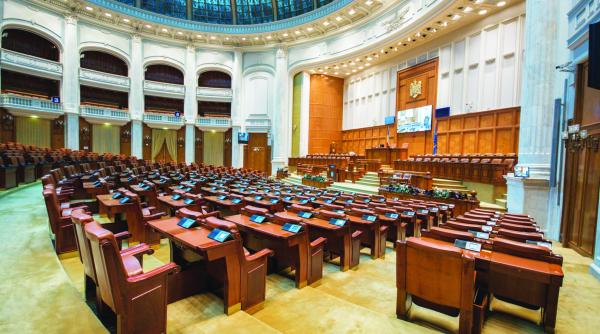 parlamentarii cer cazier curat ca lacrima pentru femeia de serviciu