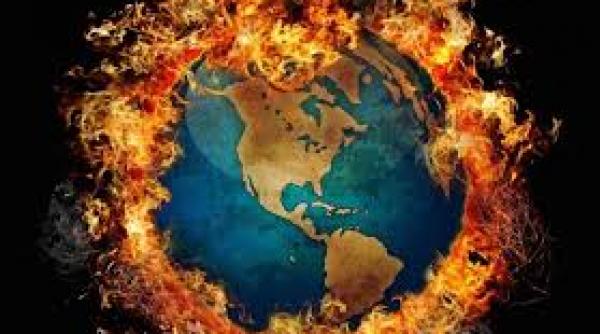 studiu unii copaci nu se vor putea adapta la timp pentru a supravietui schimbarilor climaterice