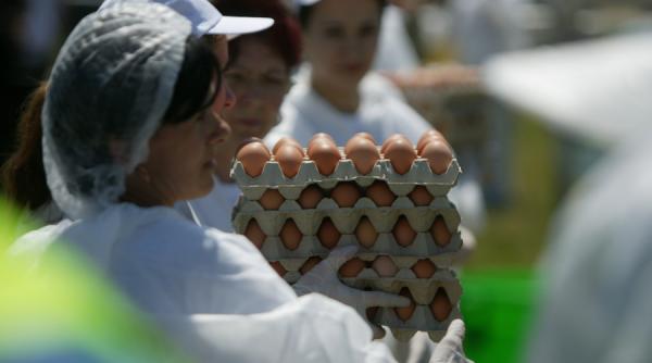 comisia europeana 15 state din ue alaturi de elvetia si hong kong afectate de scandalul oualor contaminate cu insecticid