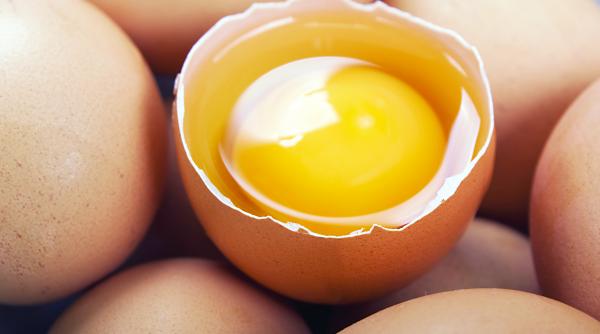 o tona de galbenus de ou contaminat cu fipronil confiscata in romania