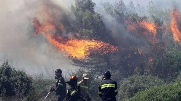 pompierii lupta sa stinga mai multe incendii izbucnite in insula greaca zakynthos