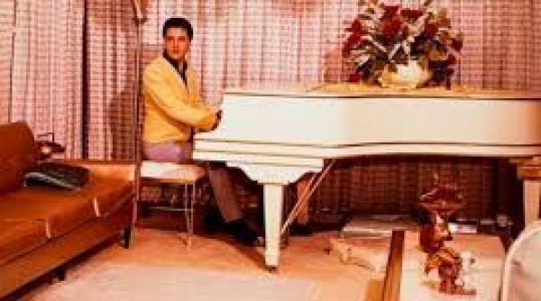 celebrul pian cu coada al lui elvis presley scos la vanzare pe ebay