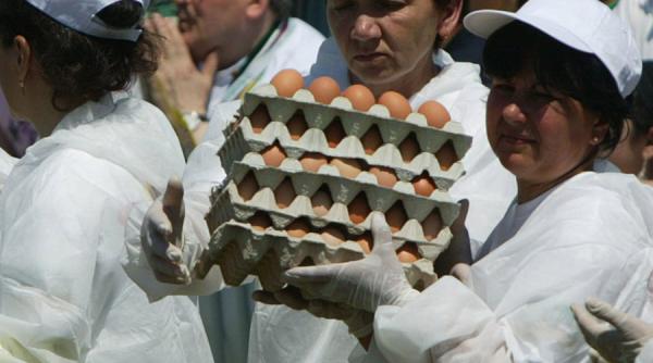 scandalul oualor contaminate un dezastru pentru olanda insa o ocazie pe care rivalii o vor exploata