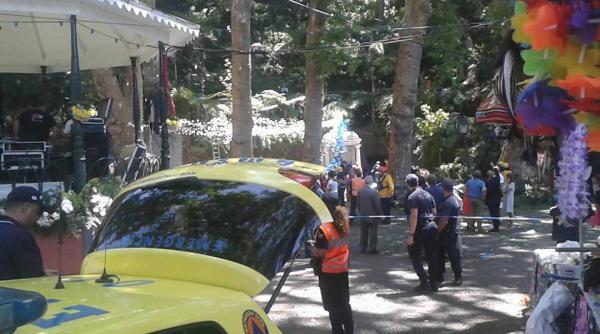 bilantul victimelor din madeira dupa ce un copac urias s a prabusit peste o multime de oameni
