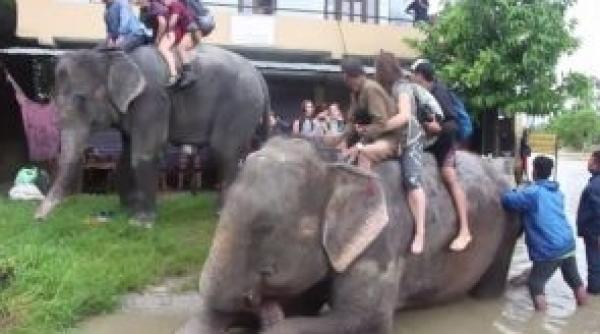 dezastru national in nepal cel putin 120 de morti si zeci de disparuti si raniti