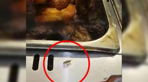 imagini de cosmar intr un magazin aglomerat din capitala gandacii colcaie printre mancarea gatita