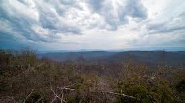 2 persoane au murit si alte 120 sunt ranite supa ce o furtuna violenta a izbucnit in austria