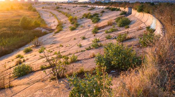 isu bucuresti incendiu de vegetatie in delta vacaresti