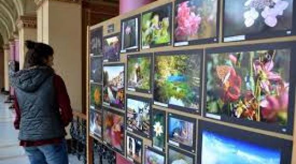 o expozitie inedita de fotografie prezentata si vizitata sub apa o premiera pentru romania si europa va fi vernisata la vama veche