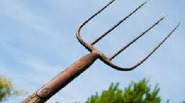 un barbat ar putea face ani grei de inchisoare de inchisoare dupa ce a omorat cainele vecinului cu o furca