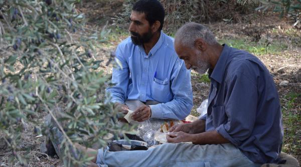 tarile uniunii europene au inceput transferul refugiatilor inapoi in grecia