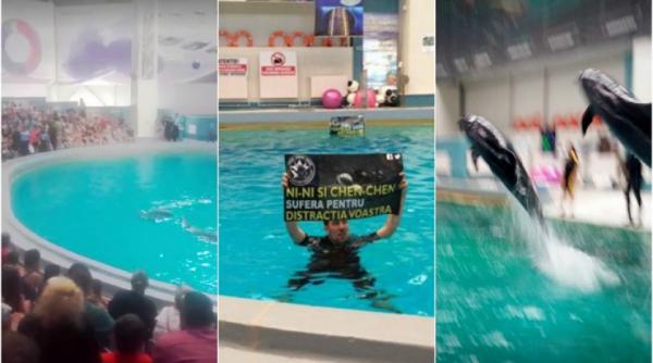 protest neobisnuit la delfinariul din constanta trei barbati s au aruncat in bazin in timpul spectacolului solicitand eliberarea delfinilor