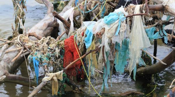 kenya aplica cea mai dura lege impotriva productiei comercializarii si folosirii de pungi de plastic