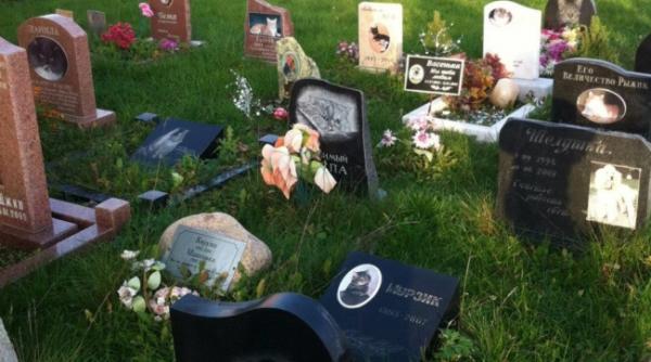 in bucuresti urmeaza sa fie amenajate un hotel si un cimitir pentru caini si pisici