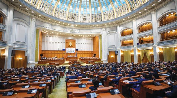 alesii revin la munca sa taie frunza la caini