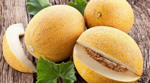 cercetatorii buzoieni au inventat pepenele in miniatura