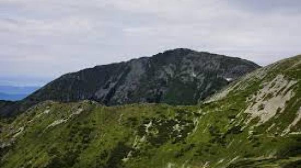 incendiul de la o plantatie de conifere din muntii rodnei a fost stins dupa trei zile