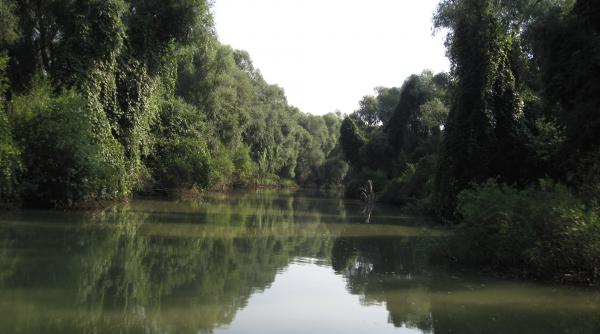 debitul deltei dunarii va creste in urmatoarele zile