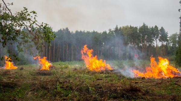 incendiu de vegetatie intre statiile darste si timisul de sus circulatia feroviara a fost oprita 45 de minute