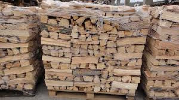 senat exportul de lemne interzis pentru patru ani