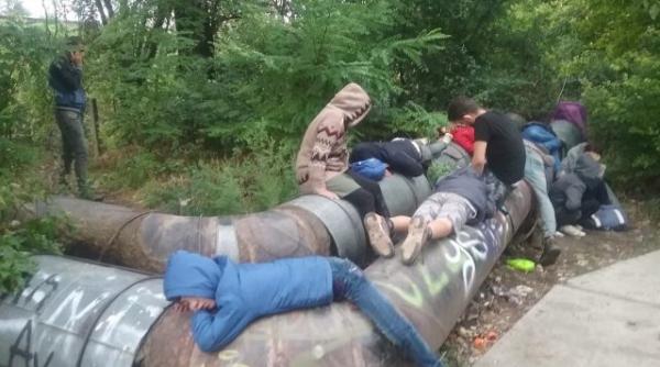 video 15 migranti proaspat intrati ilegal in romania s au instalat in parcul botanic din timisoara