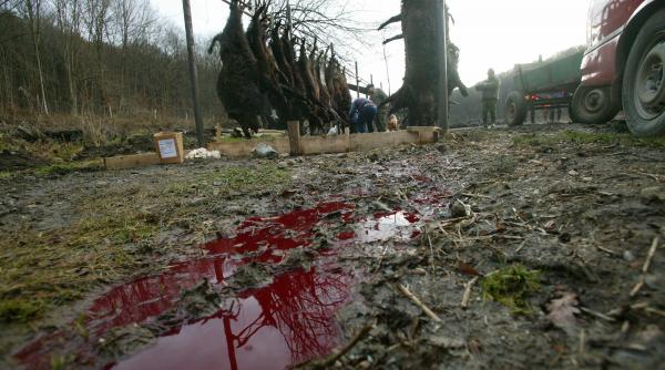 lovitura data braconierilor din salaj ce au gasit si confiscat politistii