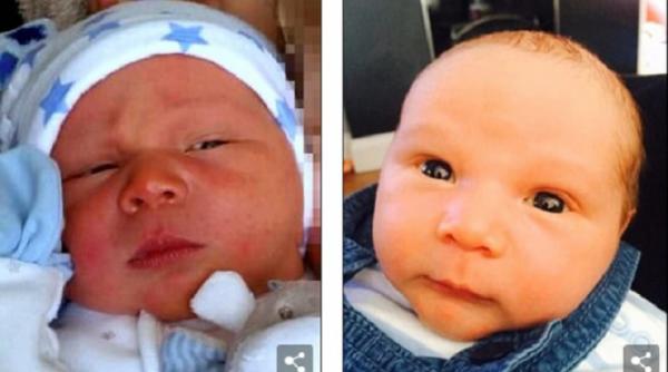 un baietel de numai trei saptamani a fost ucis de un caine terrier intr un atac feroce care a durat 20 de minute in timp ce tatal copilului dormea