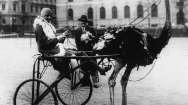 actrita internationala plimbata cu trasura trasa de strut