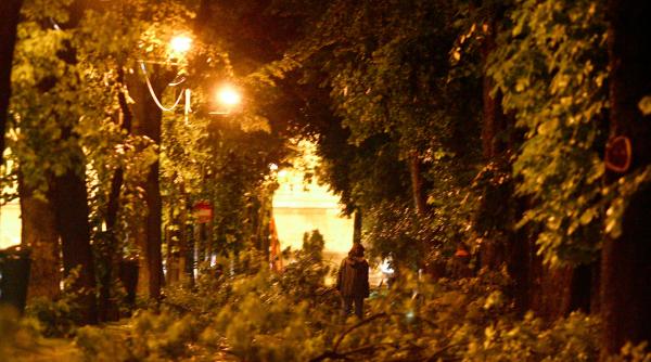 barbat decedat in bucuresti dupa ce un copac a cazut peste el