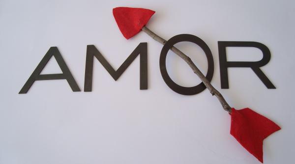 cum inseli in functie de zodie