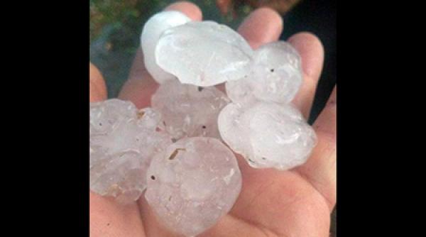 grindina cat oul de porumbel in turnu magurele