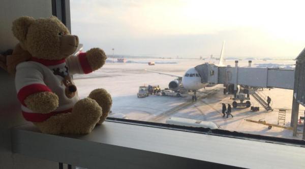 aeroportul din glasgow initiativa pentru prevenirea pierderilor de jucarii de plus