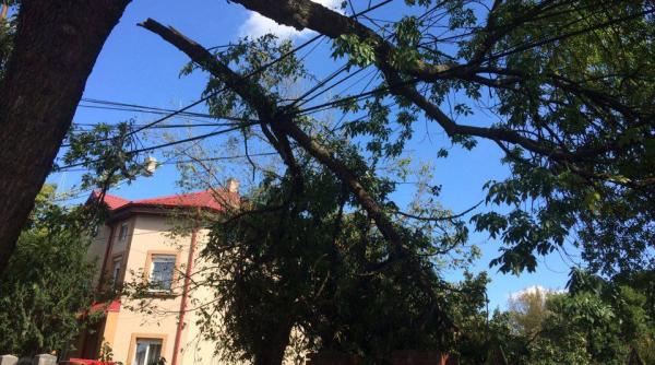 fara curent electric 86 de strazi din timisoara la 5 zile dupa furtuna