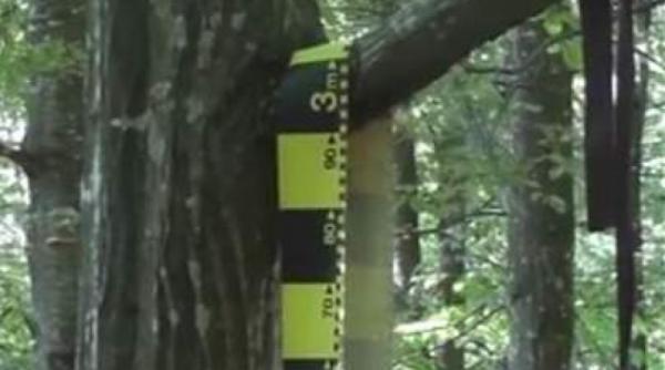 gest extrem in botosani un tanar a fost gasit spanzurat intr o liziera de salcami